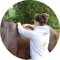 Physiotherapie und Osteopathie Pferd, Craniosacrale Therapie, EMRT die Bowen Technik für Pferde, Bowen Technik Pferd, Bowen Therapie Pferd, Bowtech Pferd, Stresspunktmassage Pferd, Lymphdrainage Pferd, Pferdetherapie, Sanfte Pferdetherapie, Healy, Bemer, Kinesiotaping Pferd
