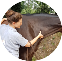Physiotherapie und Osteopathie Pferd, Stresspunktmassage Pferd, Stresspunktmassage nach Jack Meagher